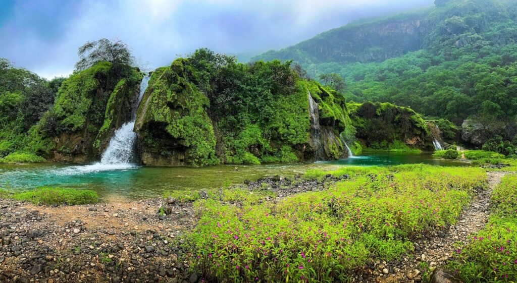 a waterfall in the middle of a lush green forest