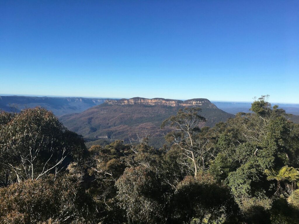 a view of the blue mountains from the top of a hill