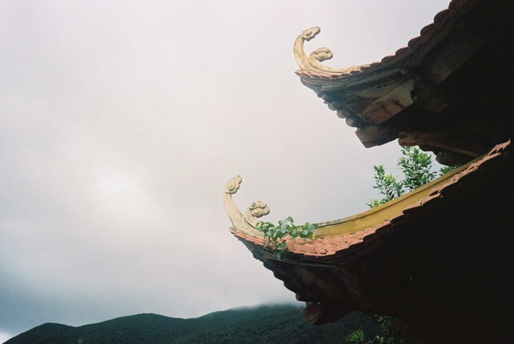 the roof of a building with a mountain in the background