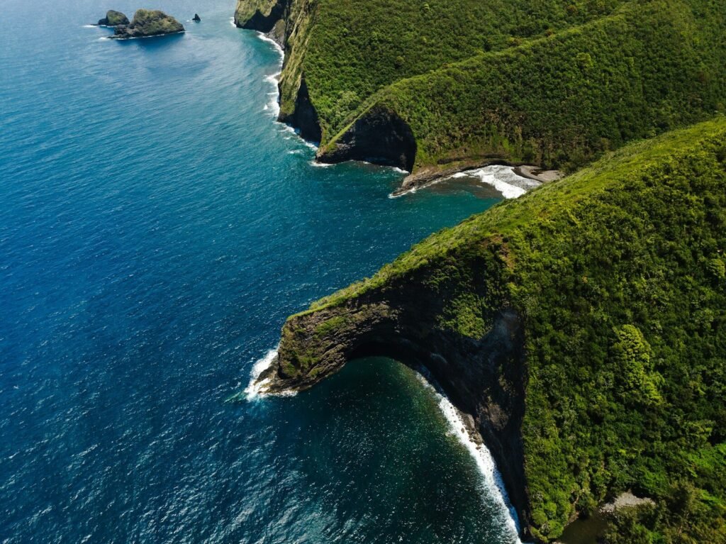 an aerial view of a lush green hillside next to the ocean