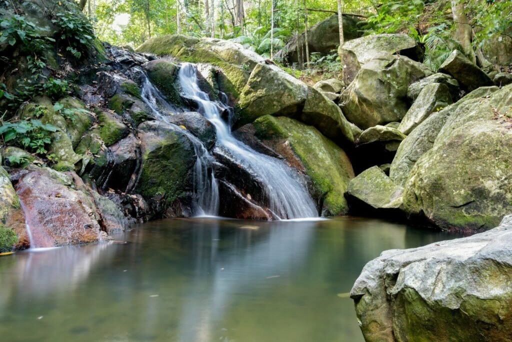 A small waterfall in the middle of a forest
