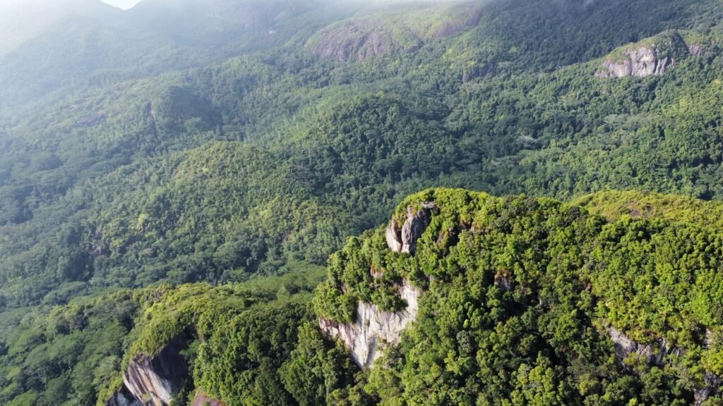 an aerial view of a forested area in the mountains