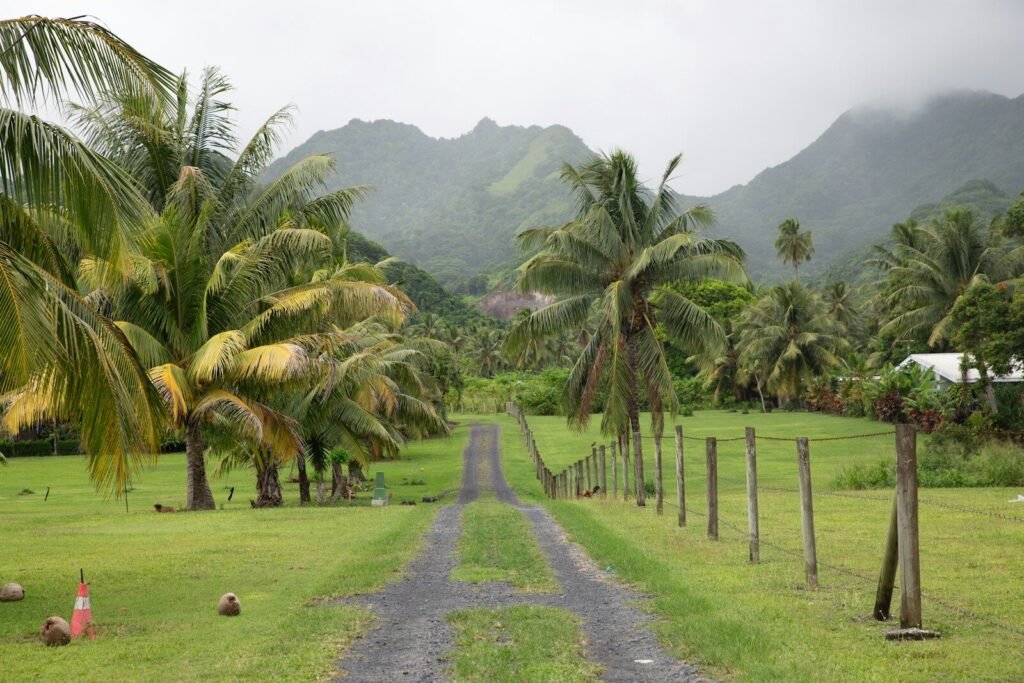 A dirt road surrounded by palm trees on a cloudy day