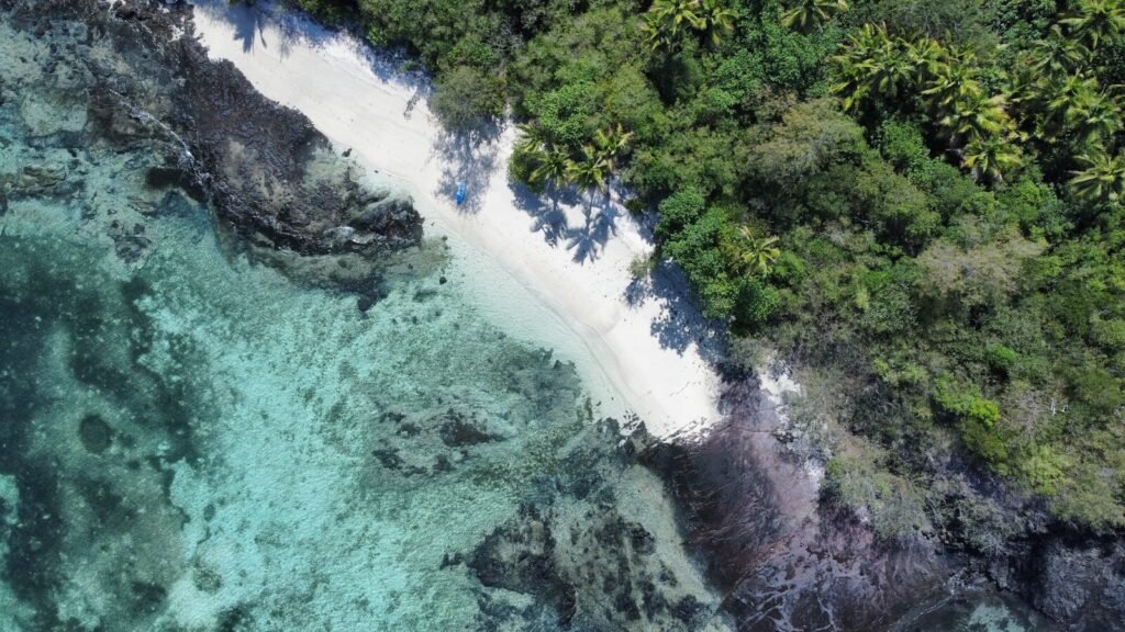 An aerial view of a beach and trees